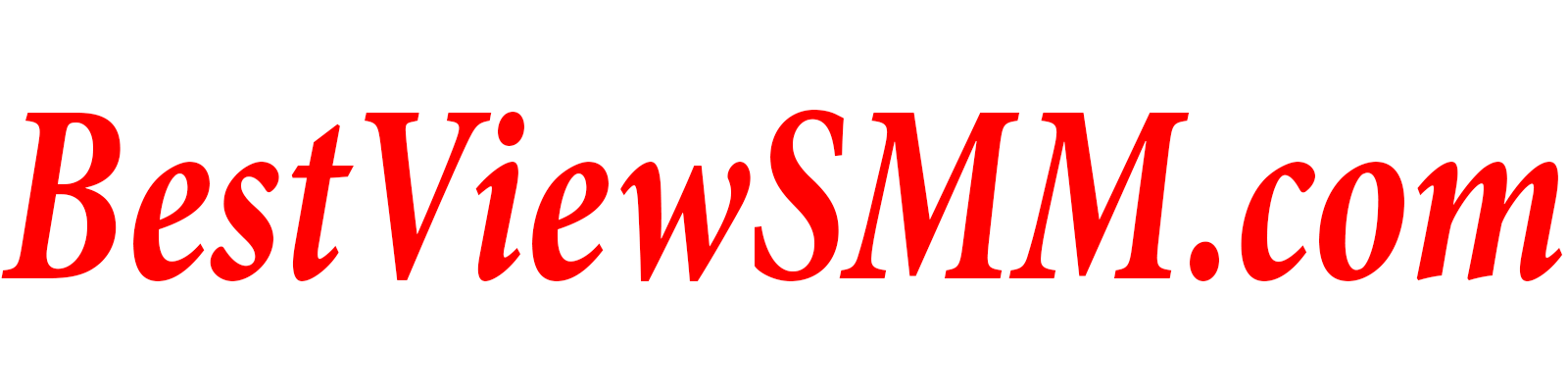 bestviewsmm.com